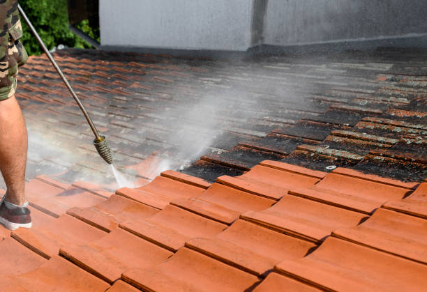 Best Local Pressure Washing Services  in Dayton, NJ